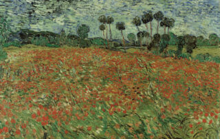 Vincent van Gogh - Papaverveld