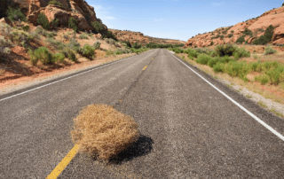 Tips to Avoid a Tumbleweed Moment