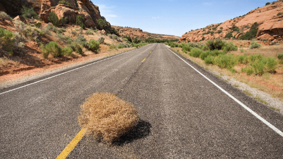 Tips to Avoid a Tumbleweed Moment