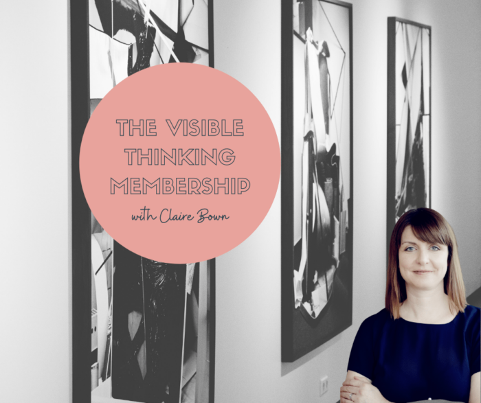 The Visible Thinking Membership - Annual