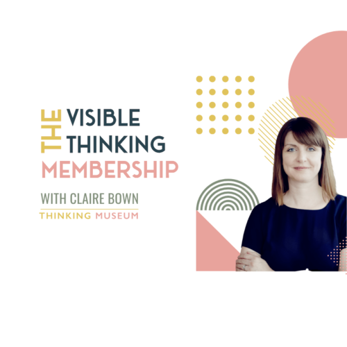 THE VISIBLE THINKING MEMBERSHIP - Annual