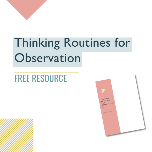 Thinking Routines for Observation